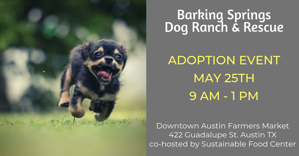 Adoption Event by Barking Springs Dog Ranch & Rescue 365 Things Austin