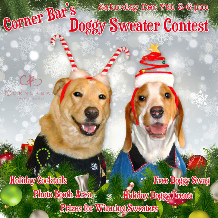 Doggy Sweater Contest - 365 Things Austin