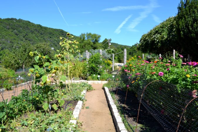 Lake Austin Spa garden