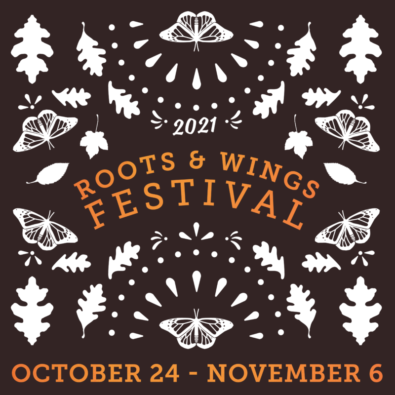 Roots and Wings Festival 365 Things Austin